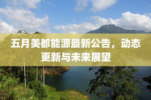 五月美都能源最新公告，动态更新与未来展望