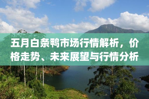 五月白条鸭市场行情解析，价格走势、未来展望与行情分析