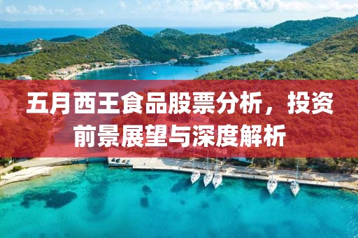 五月西王食品股票分析，投资前景展望与深度解析
