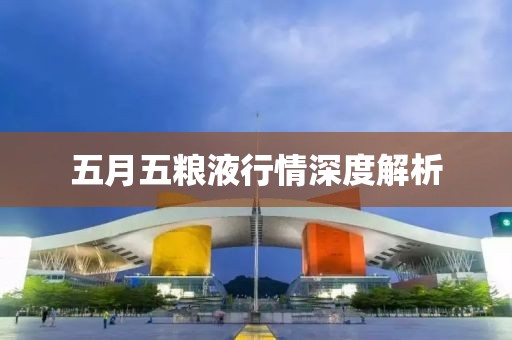 五月五粮液行情深度解析