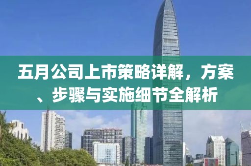 五月公司上市策略详解，方案、步骤与实施细节全解析