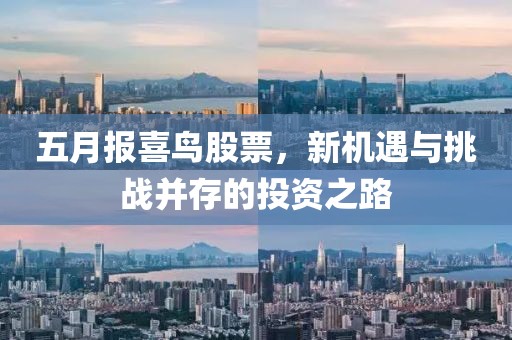五月报喜鸟股票，新机遇与挑战并存的投资之路