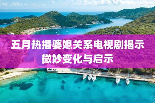 五月热播婆媳关系电视剧揭示微妙变化与启示
