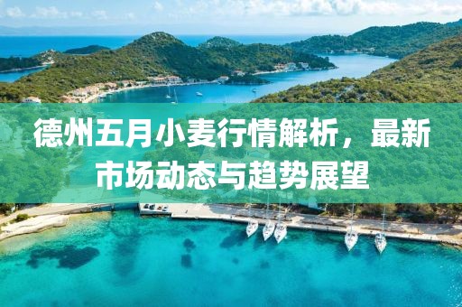 德州五月小麦行情解析，最新市场动态与趋势展望