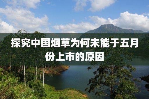 探究中国烟草为何未能于五月份上市的原因