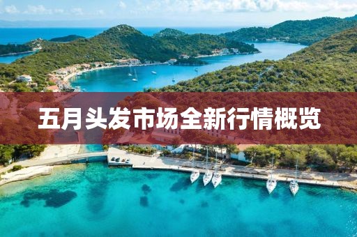 五月头发市场全新行情概览