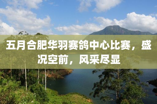 五月合肥华羽赛鸽中心比赛，盛况空前，风采尽显