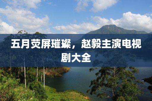 五月荧屏璀璨，赵毅主演电视剧大全