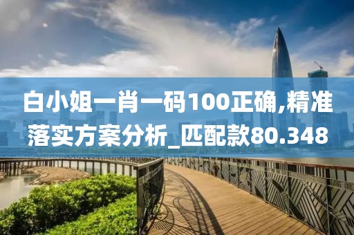 白小姐一肖一码100正确,精准落实方案分析_匹配款80.348