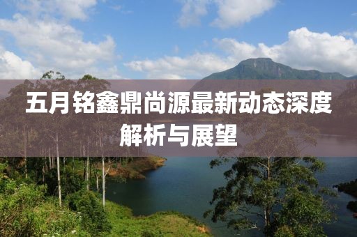 五月铭鑫鼎尚源最新动态深度解析与展望