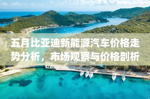 五月比亚迪新能源汽车价格走势分析，市场观察与价格剖析