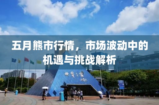 五月熊市行情，市场波动中的机遇与挑战解析