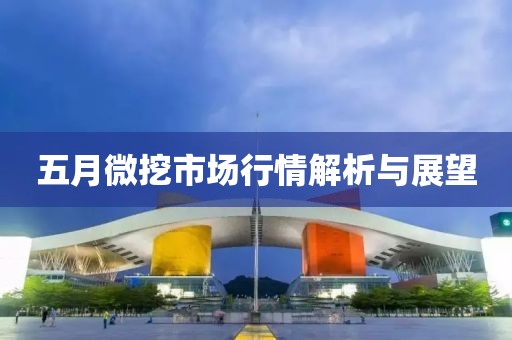 五月微挖市场行情解析与展望