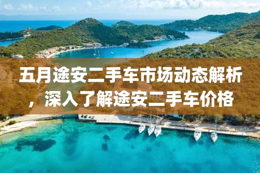 五月途安二手车市场动态解析，深入了解途安二手车价格