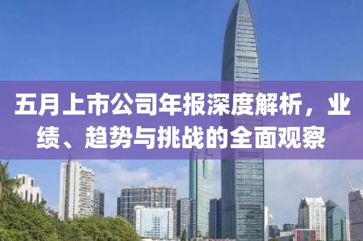 五月上市公司年报深度解析，业绩、趋势与挑战的全面观察