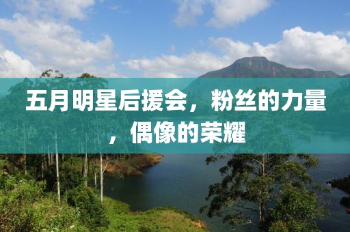 五月明星后援会，粉丝的力量，偶像的荣耀