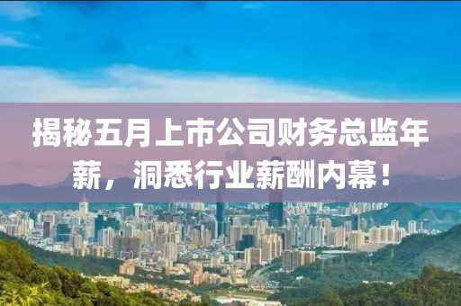 揭秘五月上市公司财务总监年薪，洞悉行业薪酬内幕！