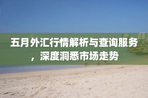 五月外汇行情解析与查询服务，深度洞悉市场走势