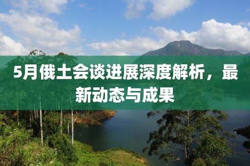 5月俄土会谈进展深度解析，最新动态与成果