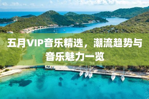 五月VIP音乐精选，潮流趋势与音乐魅力一览
