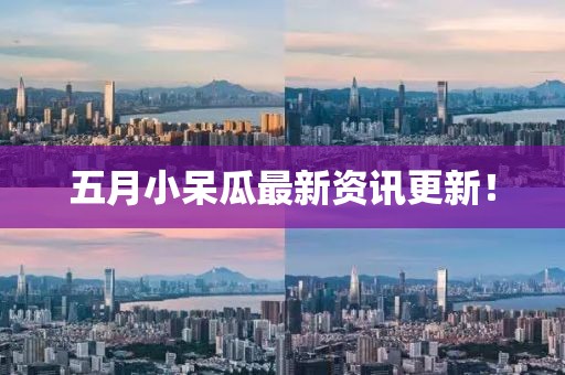 五月小呆瓜最新资讯更新！