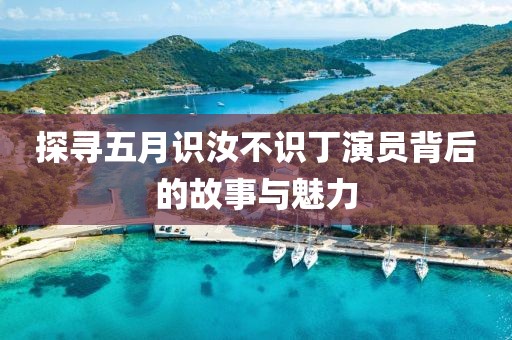 探寻五月识汝不识丁演员背后的故事与魅力