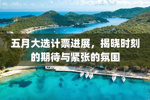 五月大选计票进展，揭晓时刻的期待与紧张的氛围