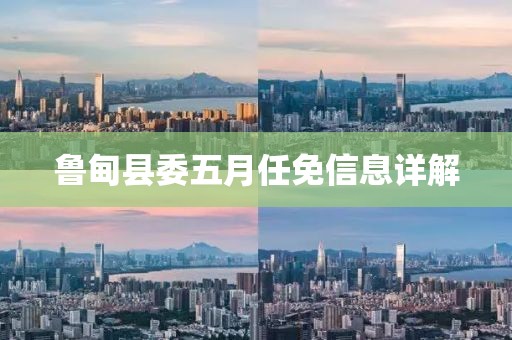 鲁甸县委五月任免信息详解