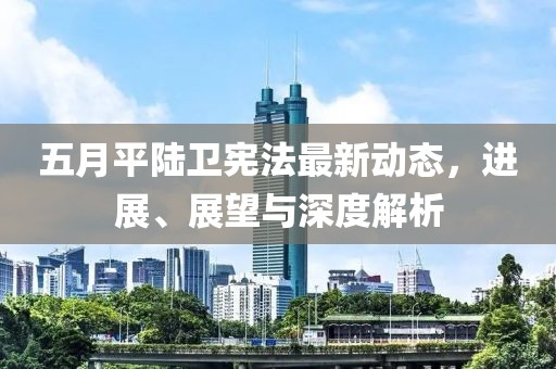 五月平陆卫宪法最新动态，进展、展望与深度解析
