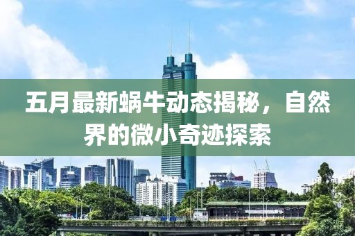 五月最新蜗牛动态揭秘，自然界的微小奇迹探索