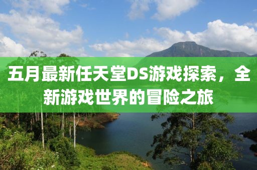 五月最新任天堂DS游戏探索，全新游戏世界的冒险之旅