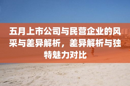 五月上市公司与民营企业的风采与差异解析，差异解析与独特魅力对比