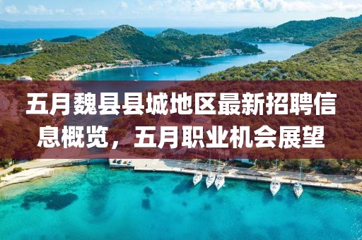 五月魏县县城地区最新招聘信息概览，五月职业机会展望