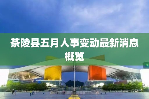 茶陵县五月人事变动最新消息概览