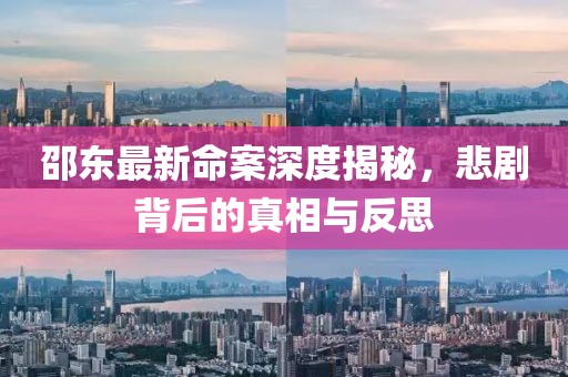 邵东最新命案深度揭秘，悲剧背后的真相与反思