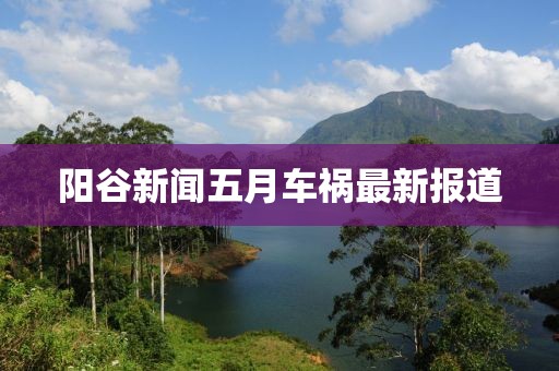 阳谷新闻五月车祸最新报道