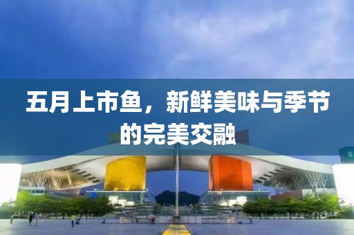 五月上市鱼，新鲜美味与季节的完美交融
