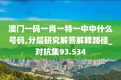 澳门一码一肖一特一中中什么号码,分层研究解答解释路径_对抗集93.534