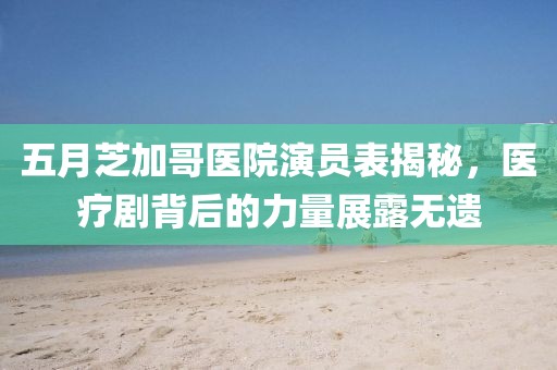 五月芝加哥医院演员表揭秘，医疗剧背后的力量展露无遗