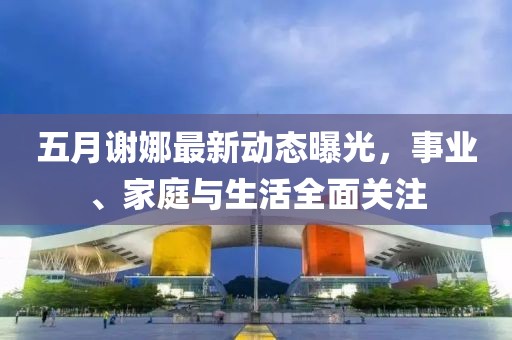 五月谢娜最新动态曝光，事业、家庭与生活全面关注