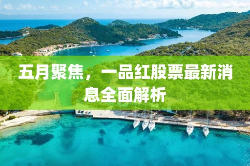 五月聚焦，一品红股票最新消息全面解析