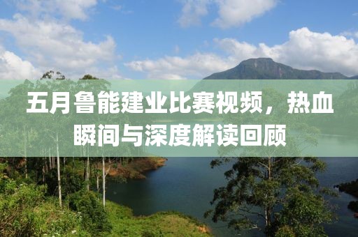 五月鲁能建业比赛视频，热血瞬间与深度解读回顾