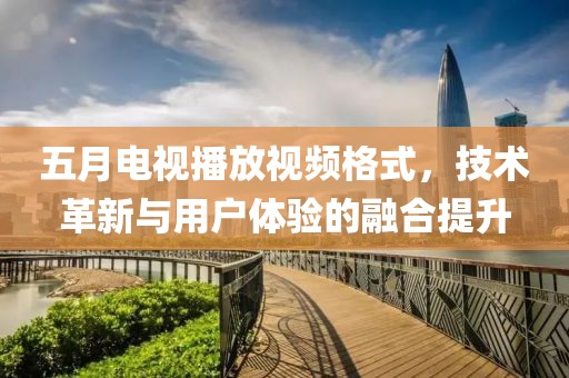 五月电视播放视频格式，技术革新与用户体验的融合提升