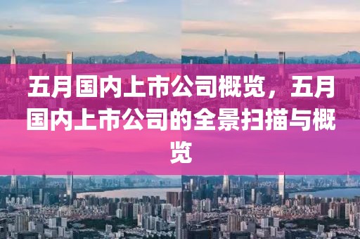 五月国内上市公司概览，五月国内上市公司的全景扫描与概览