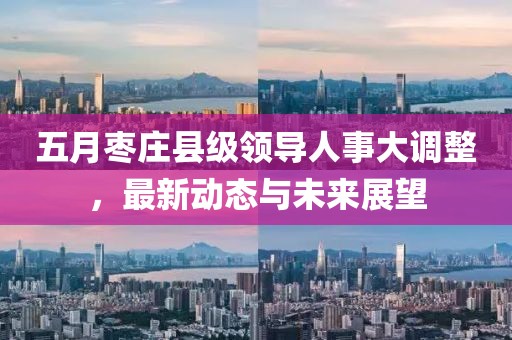 五月枣庄县级领导人事大调整，最新动态与未来展望