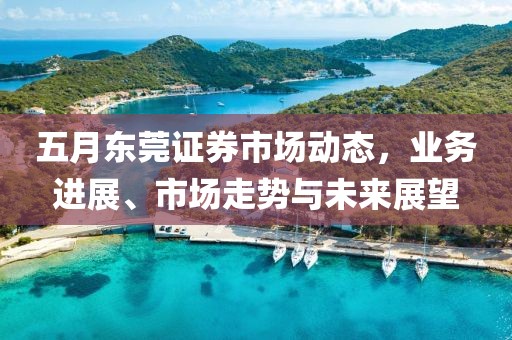 五月东莞证券市场动态，业务进展、市场走势与未来展望