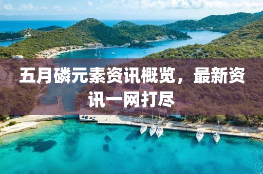 五月磷元素资讯概览，最新资讯一网打尽
