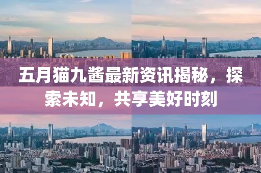 五月猫九酱最新资讯揭秘，探索未知，共享美好时刻