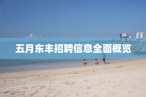 五月东丰招聘信息全面概览