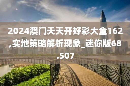 2024澳门天天开好彩大全162,实地策略解析现象_迷你版68.507